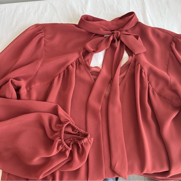 Express Rust Sheer Balloon Puff Sleeve Dress Work Shirt Blouse Top - Picture 7 of 13